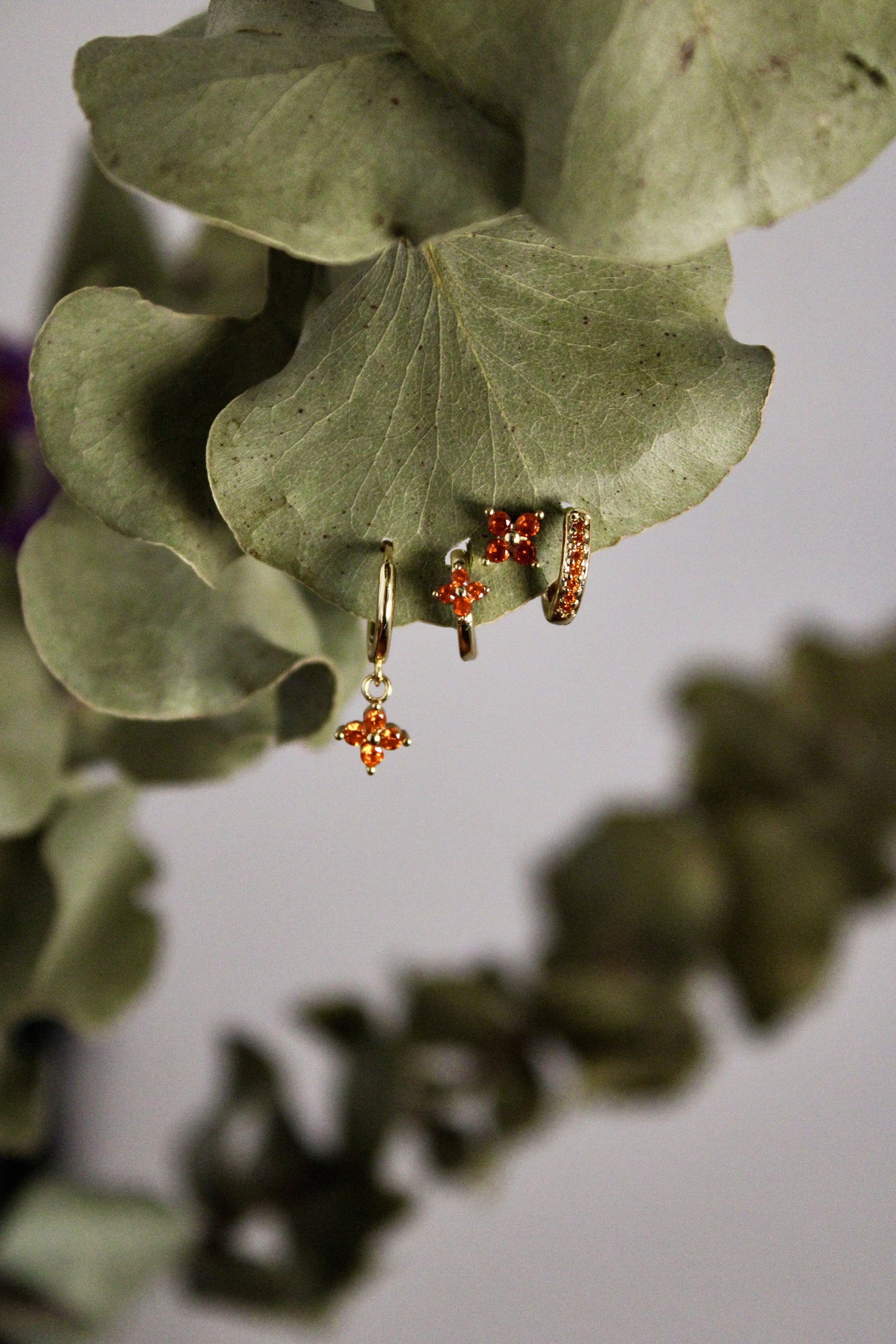 Pendientes Nari